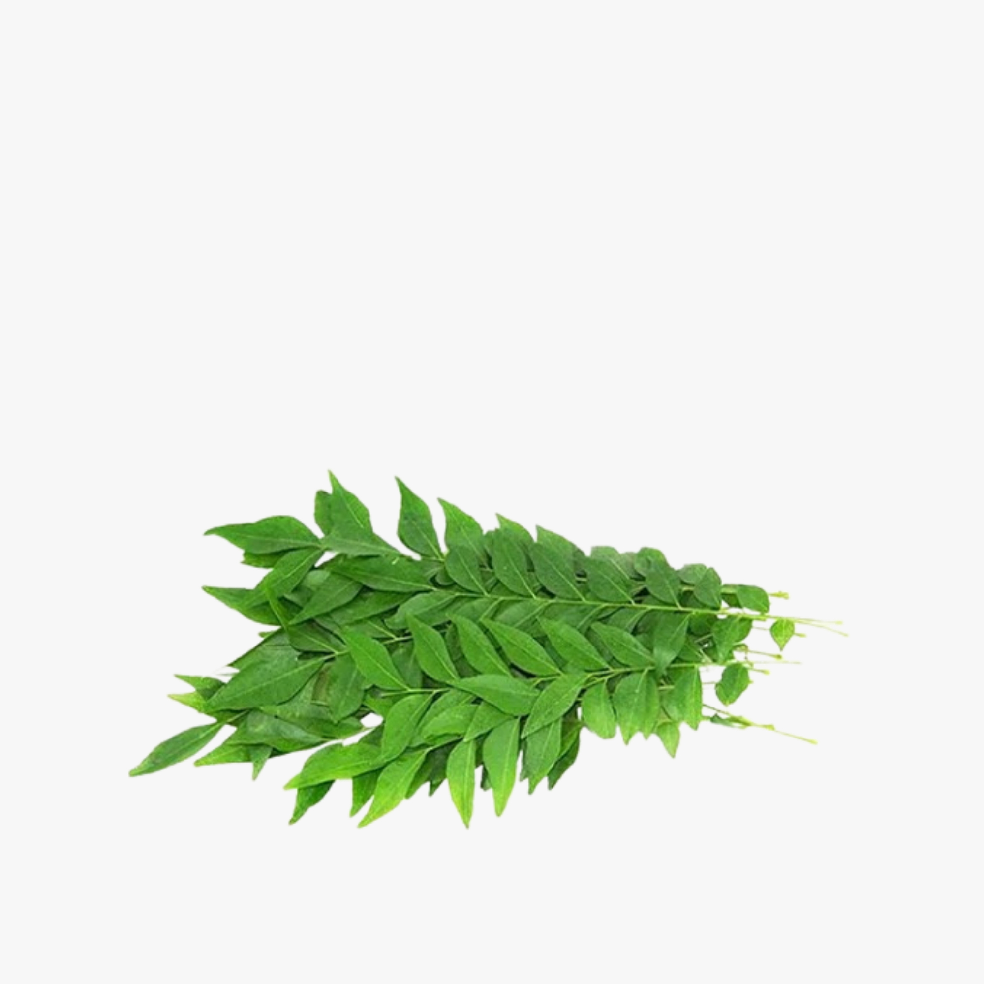 Curry Leaves - 1 Pack